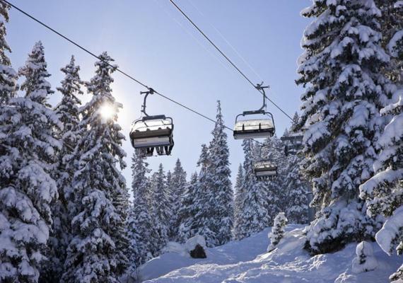 Family Mountain View - Upper Alley Букс Екстер'єр фото